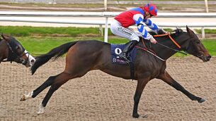 <p>Chica Power is the choice to take the Dundalk Stadium Gift Vouchers Available Online Handicap. Picture: Healy Racing</p>