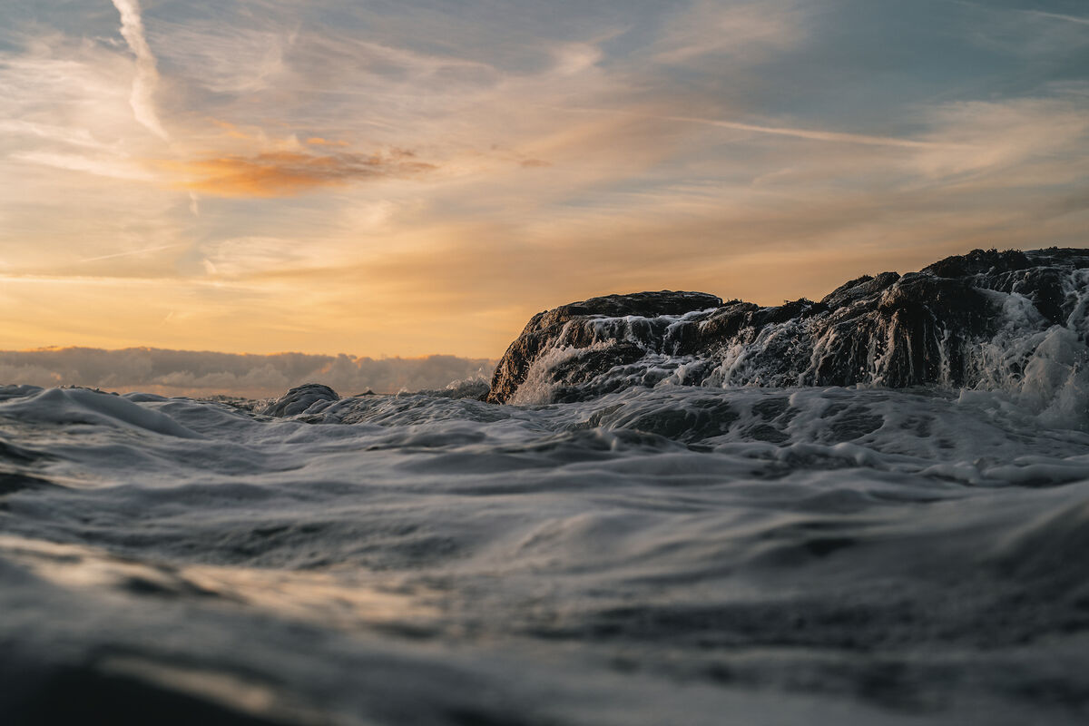 Sea Studio - September