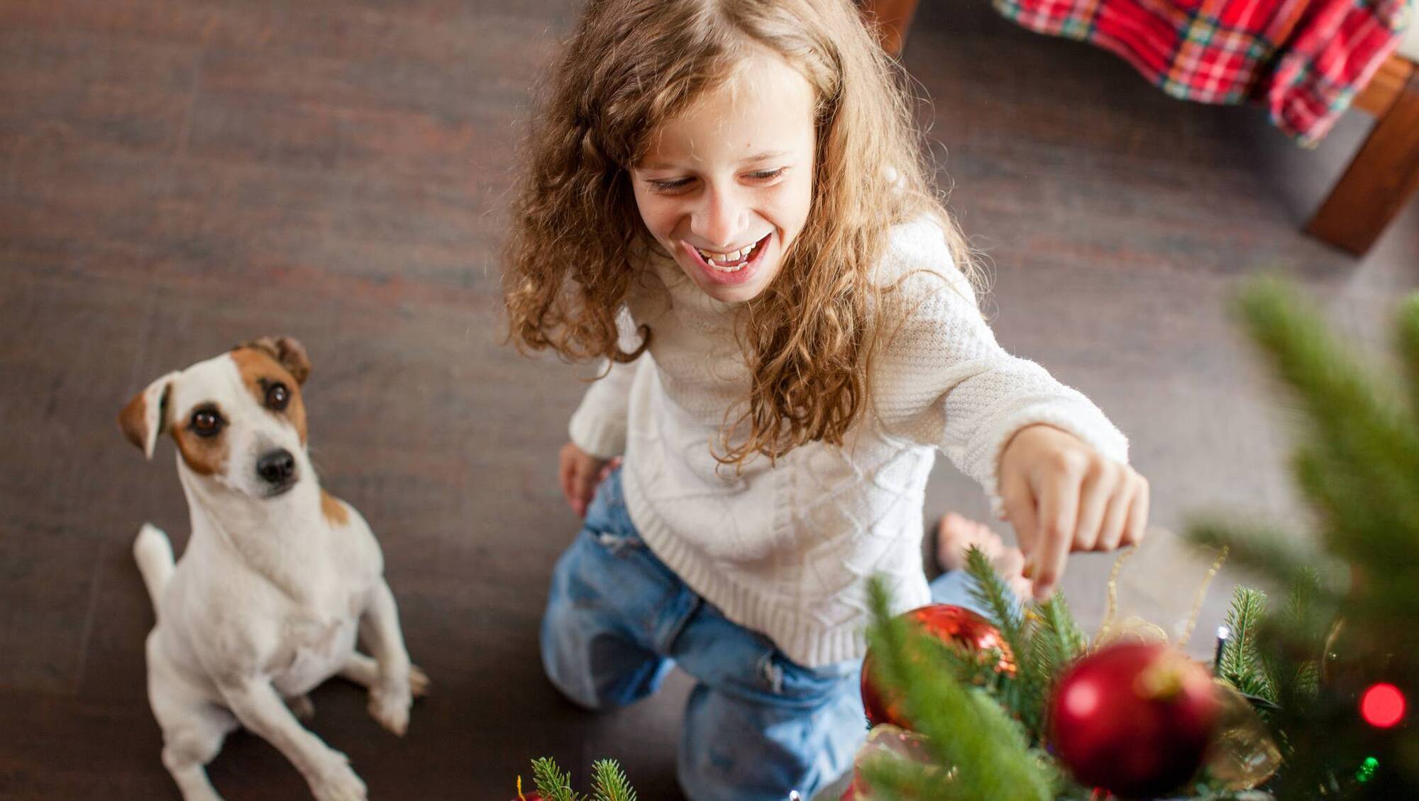 Life Hack: How to decorate for Christmas while keeping children and pets safe