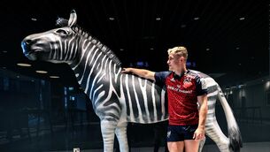 <p>EARNING HIS STRIPES: Munster’s Craig Casey with the Investec Zebra. Pic: ©INPHO/Billy Stickland</p>