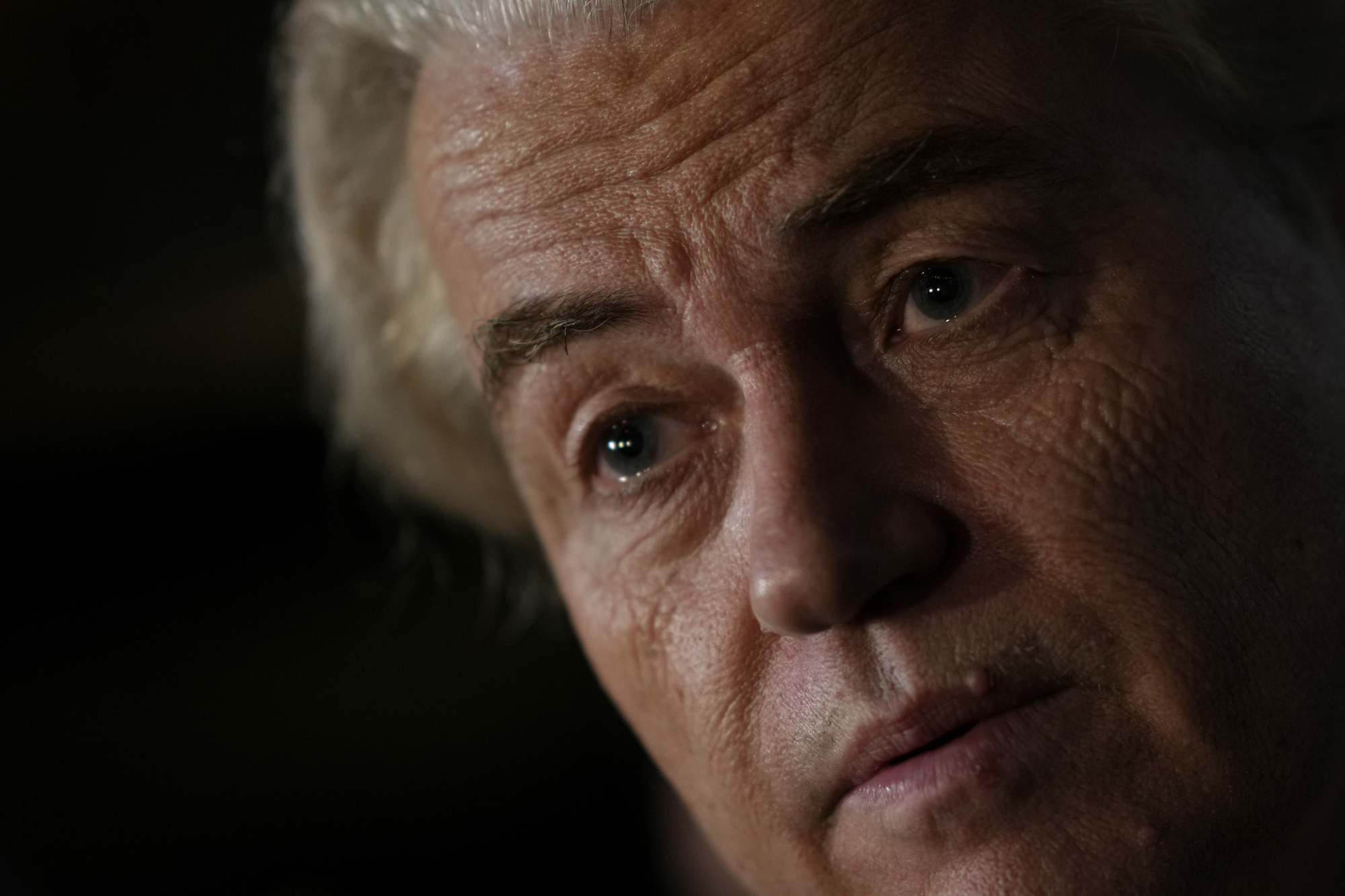 Geert Wilders wins most votes in Dutch election as populists shock Europe
