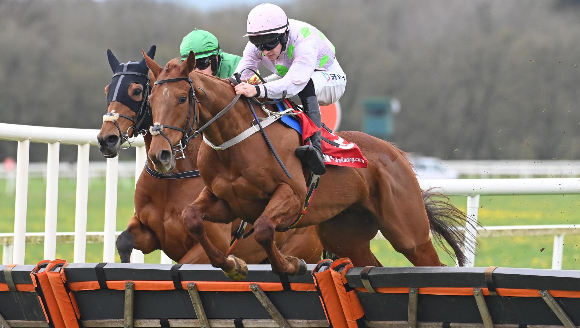 LAYING DOWN THE LAW: Mister Policeman made a winning debut for Willie Mullins when scoring at Cork in April. He makes his first start over the larger obstacles at Fairyhouse on Friday. 	Picture: Healy Racing 