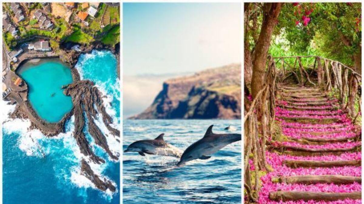 10 reasons to visit… Madeira - Vimarsana News