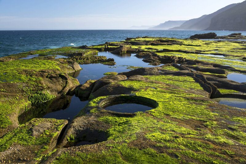 Figure 8 pools, Royal National Park Australia