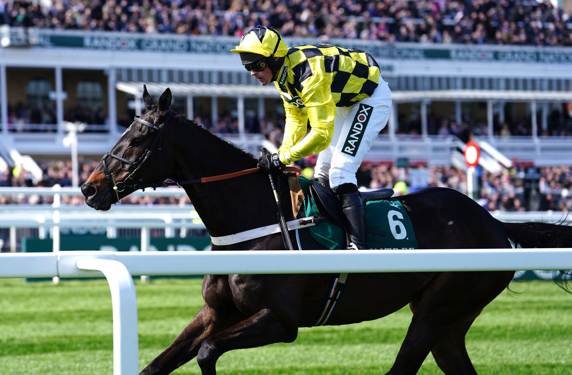 Shishkin refuses to start in 1965 Chase at Ascot