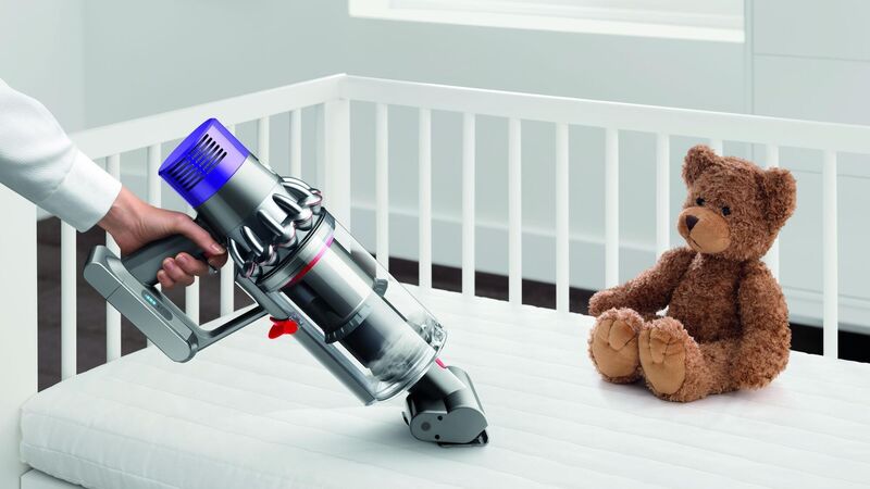 How to get rid of bed bugs and keep them out of your home