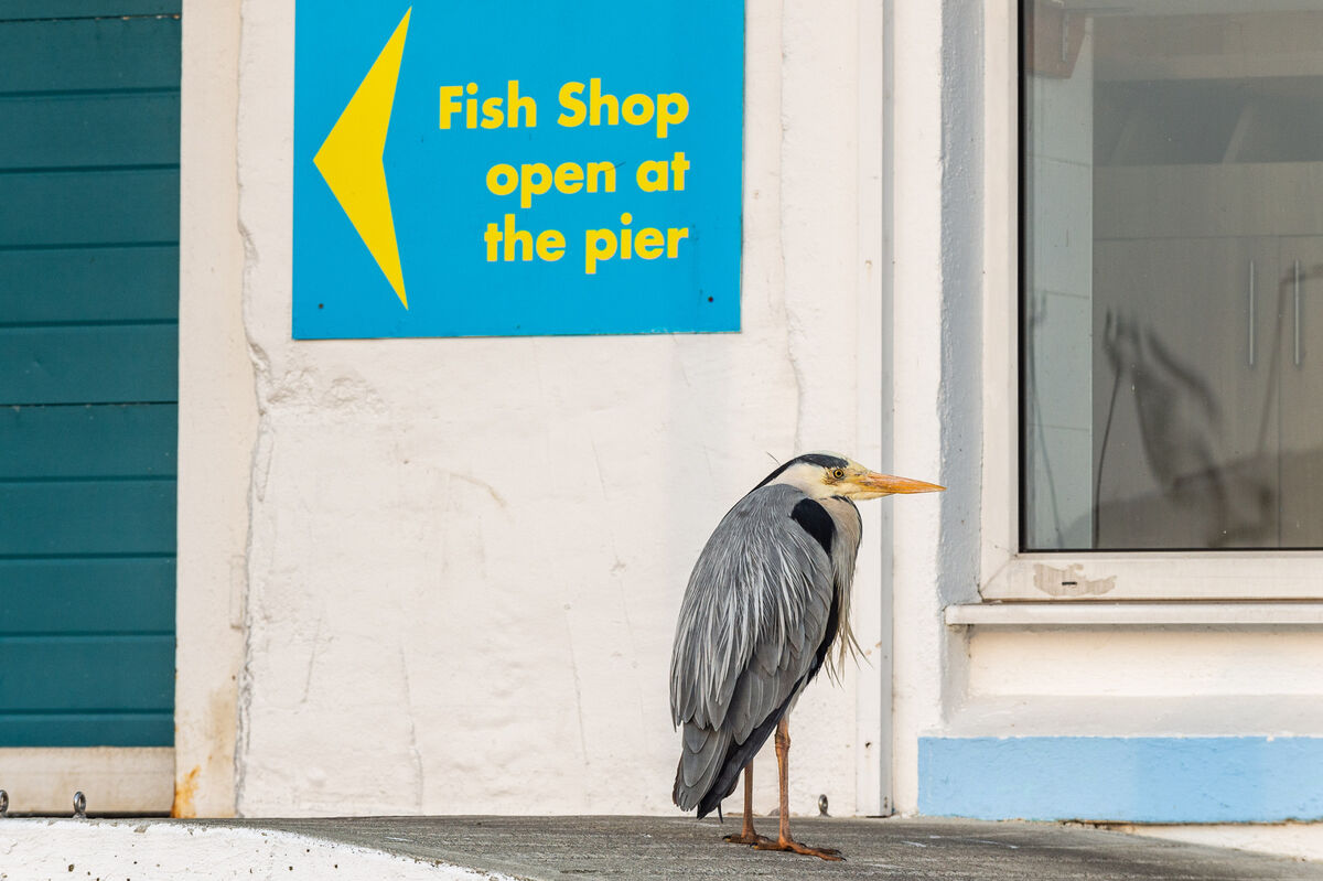  Picture: Andy Gibson.