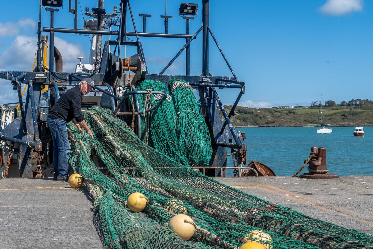  The 'Laetitia' seen at Schull. Picture: Andy Gibson.