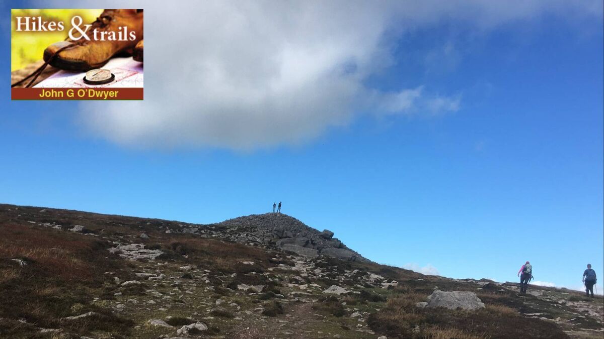 From France to Slievenamon and then Dublin Castle — the story of Ireland's tricolour flag - Vimarsana News