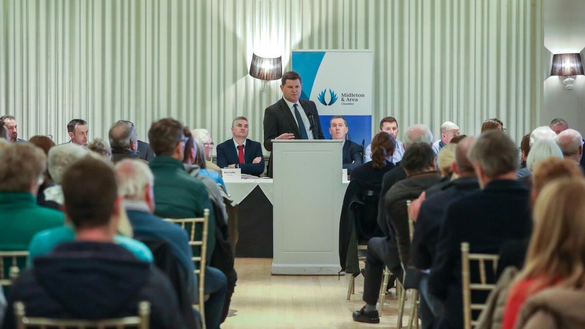 'Emergency committee needed' to complete Midleton flood relief scheme - Vimarsana News