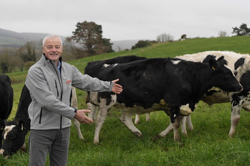 Joe Hayden believes Baileys has done a lot of good for the Irish dairy industry in terms of promotion, and also helping Tirlán suppliers in becoming more sustainable producers. Picture: Moya Nolan Joe Hayden believes Baileys has done a lot of good for the Irish dairy industry in terms of promotion, and also helping Tirlán suppliers in becoming more sustainable producers. Picture: Moya Nolan