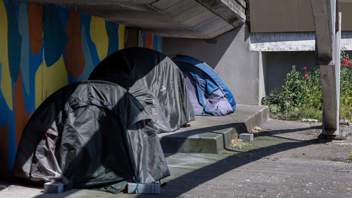 Government runs out of accommodation for asylum-seekers arriving into Ireland - Vimarsana News
