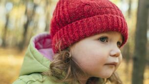 <p>Pic: iStock</p>