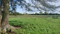 44-acre Tipperary holding already receiving offers