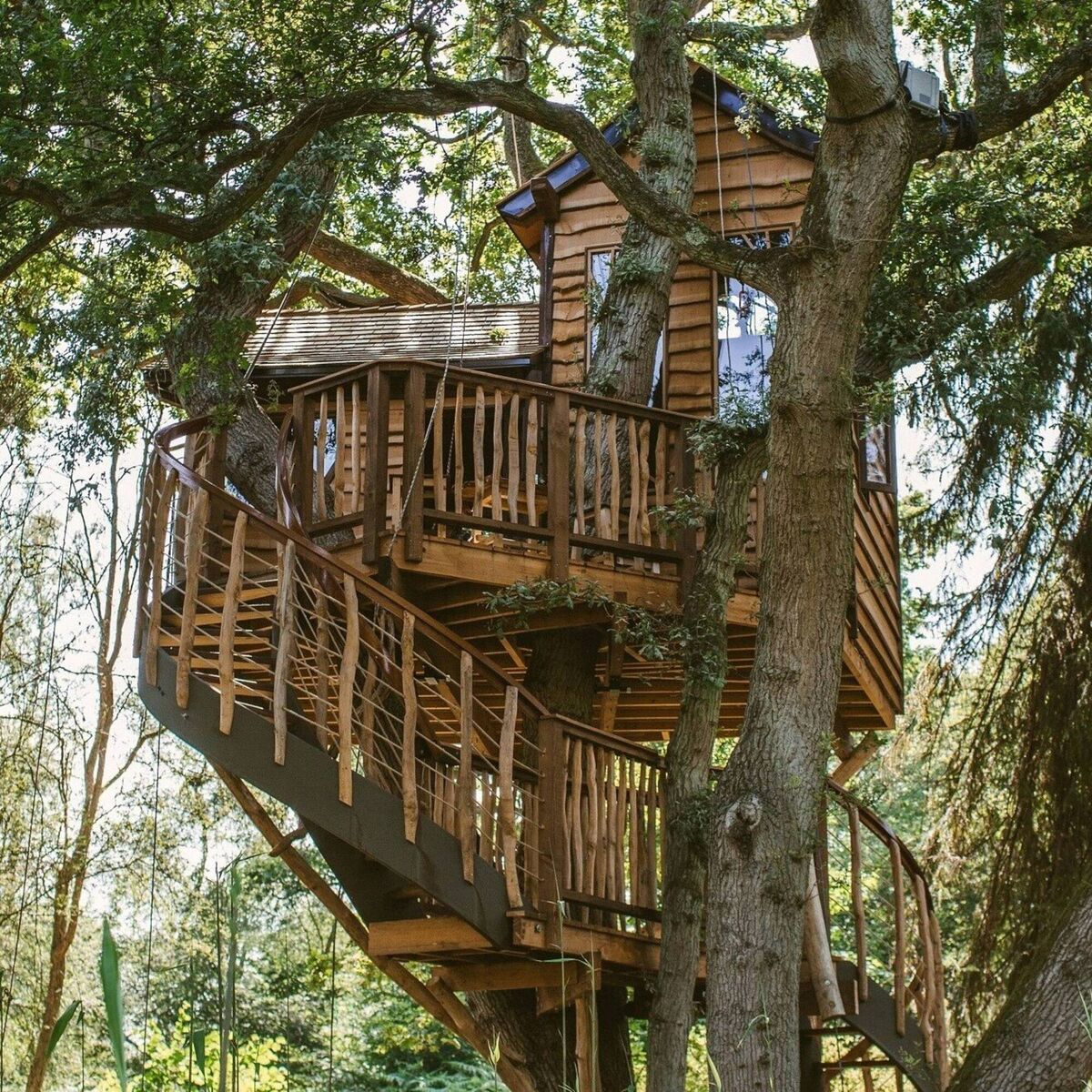Gracious treehouse by Treetop Co. 