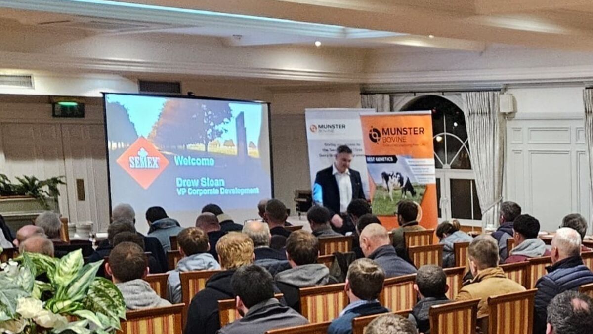 Theres no show like a Semex roadshow - Vimarsana News