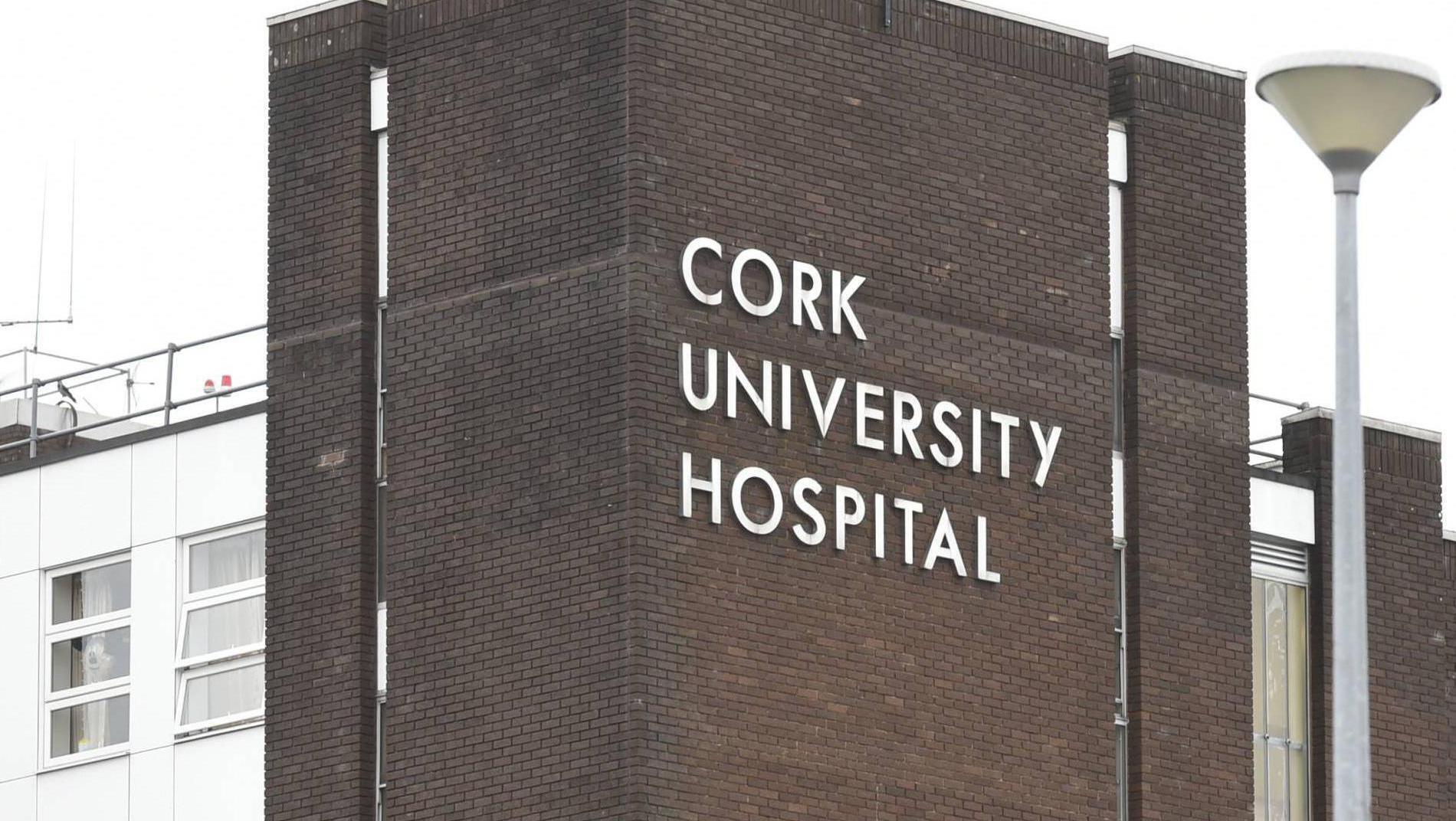 Woman, 60s, dies following Cork crash
