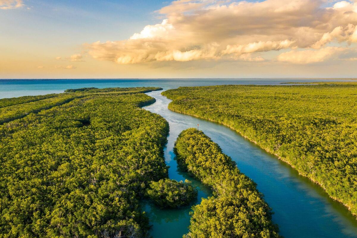 An aerial view of wetlands in Everglades National Park at sunset, Florida, USA