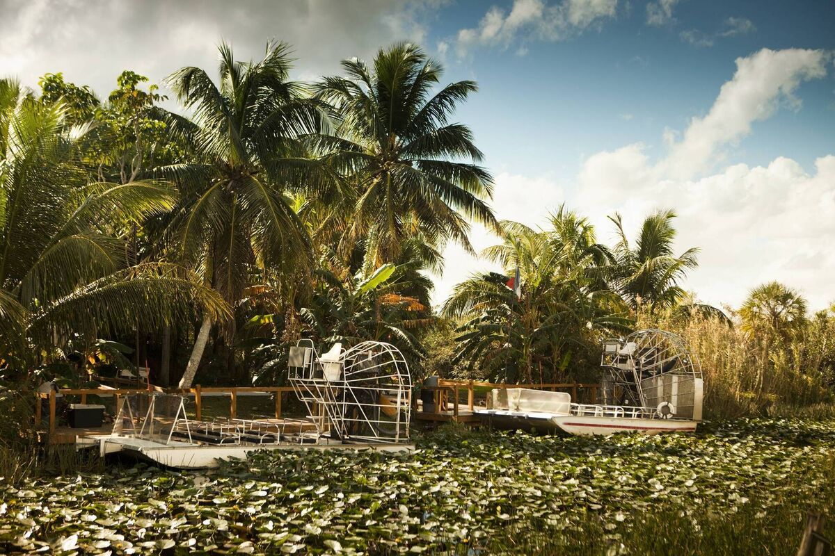 Swamp boat floats into the Everglades National Park, Florida