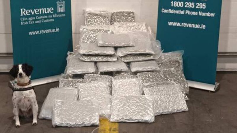 Detector dog Milo helps sniff out over one million euros of herbal cannabis 