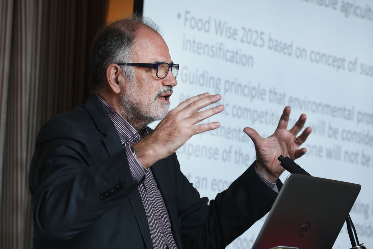 Professor Alan Matthews noted in 2019 that Irish emissions per kilogramme of protein in milk are 50% higher than the average for producers in western Europe. Picture: Finbarr O'Rourke