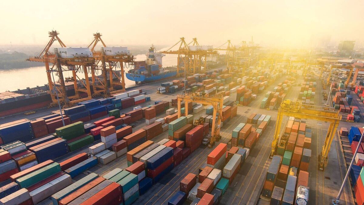 Demand for work permits set to soar in 2024, says industry leader - Vimarsana News
