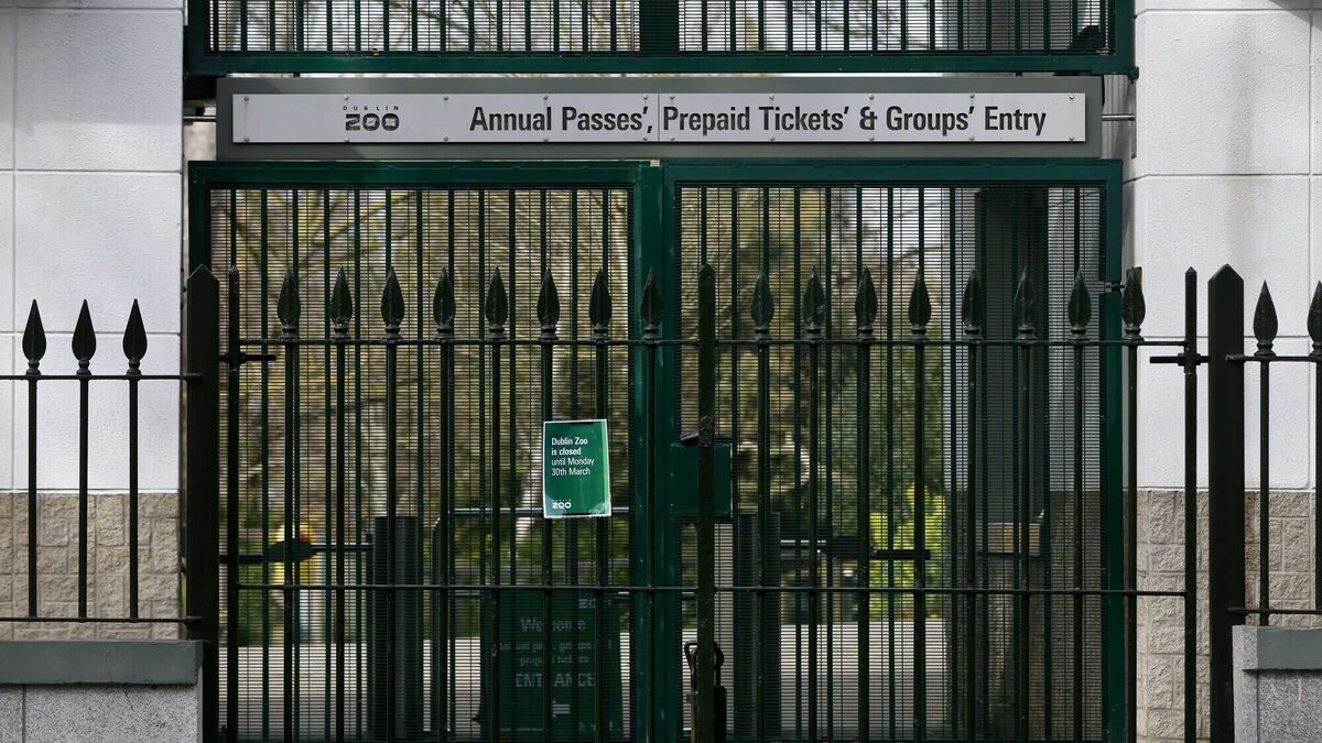 Confusion surrounds source of funds for electrical works on hot tub and sauna at Dublin Zoo - Vimarsana News