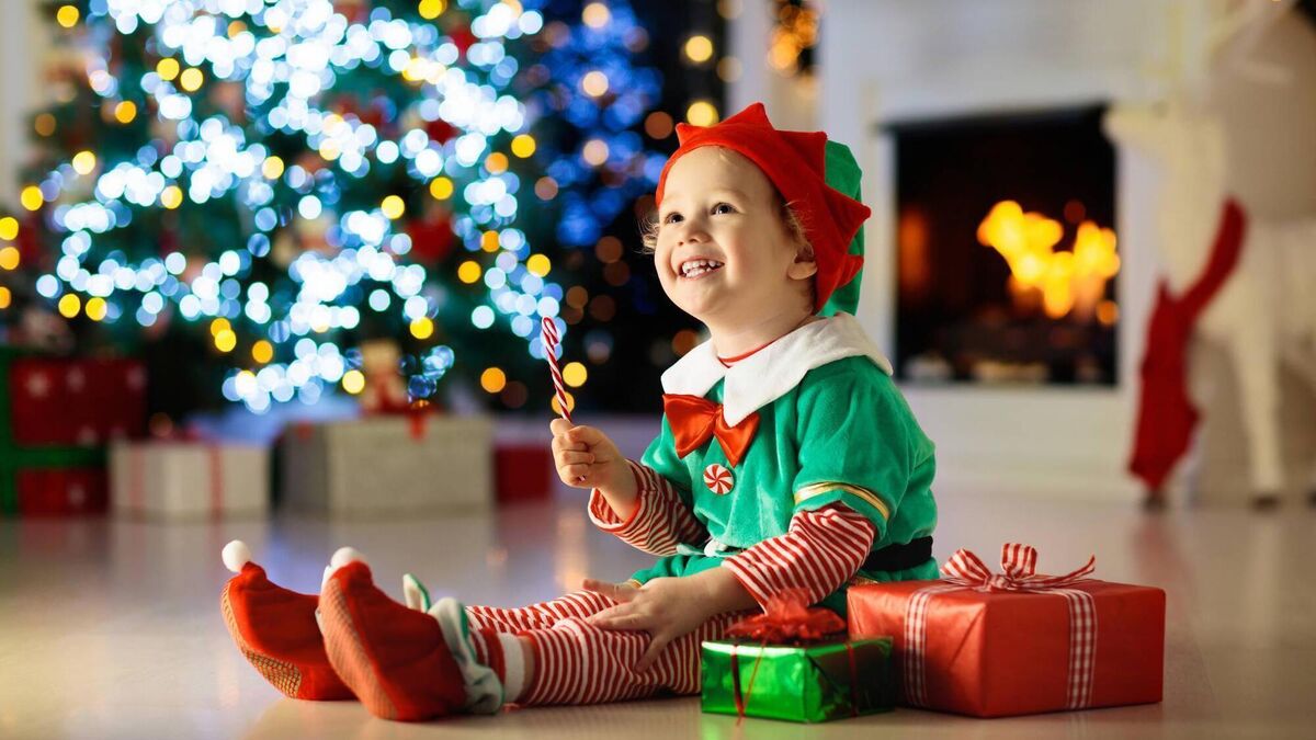 Elf and safety at home - during the most chaotic time of the year - Vimarsana News