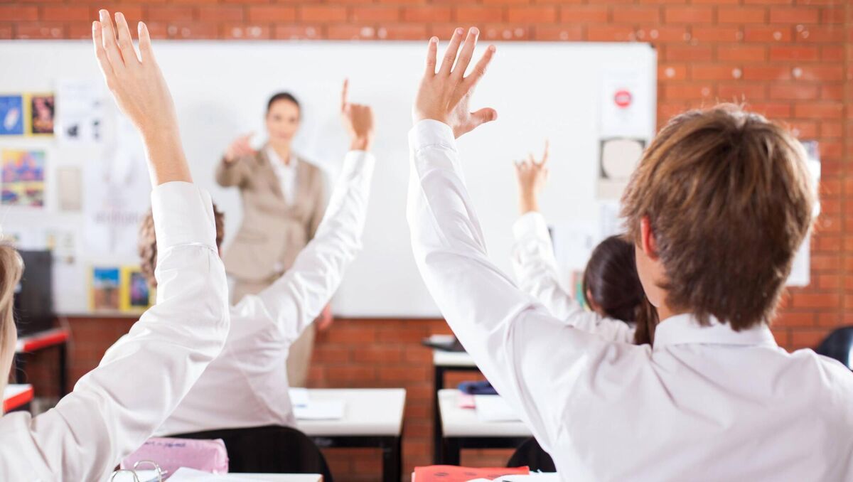 
                            In all likelihood, there have been occasions over the last three months when a SENO might have determined that the need for a special class was not being met and thereafter engaged with the school principal to come to some arrangement.
                        