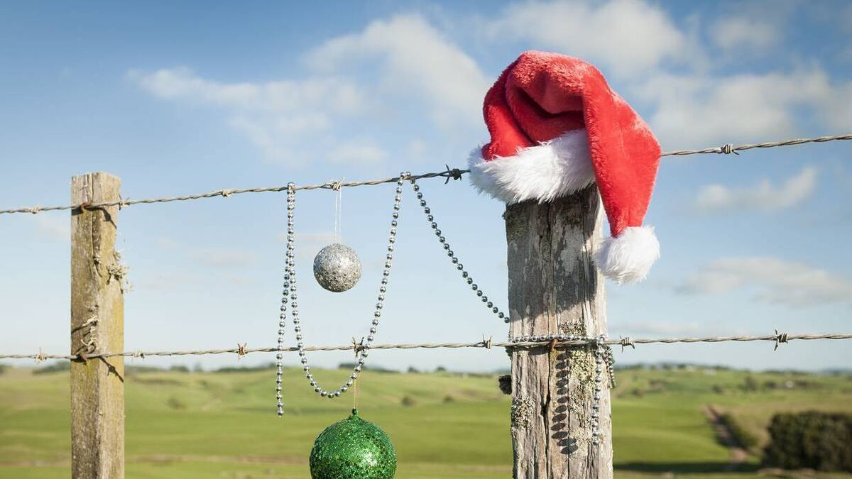 Denis Lehane: Santa Claus has received his Single Farm Payment - Vimarsana News