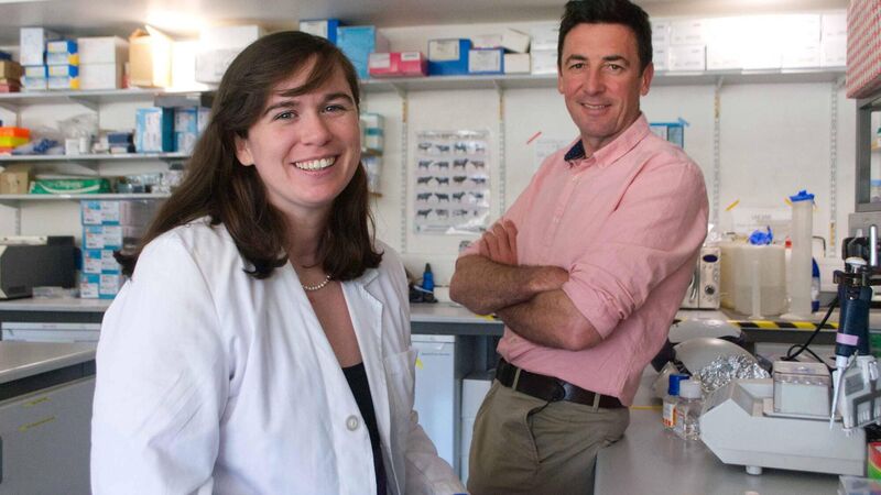 Telly and Streaming Highlights: The ancient secrets of the Boyne Valley are explored on TG4