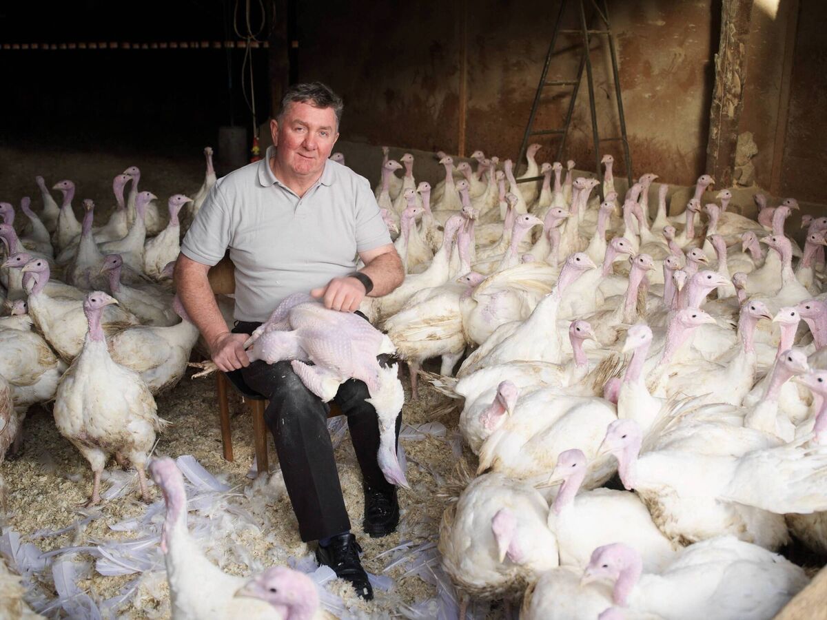Vincent Pilkington from County Cavan featured in the Guinness Book of World Records. Vincent Pilkington from County Cavan featured in the Guinness Book of World Records.