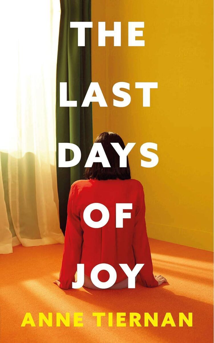 The Last Days of Joy by Anne Tiernan