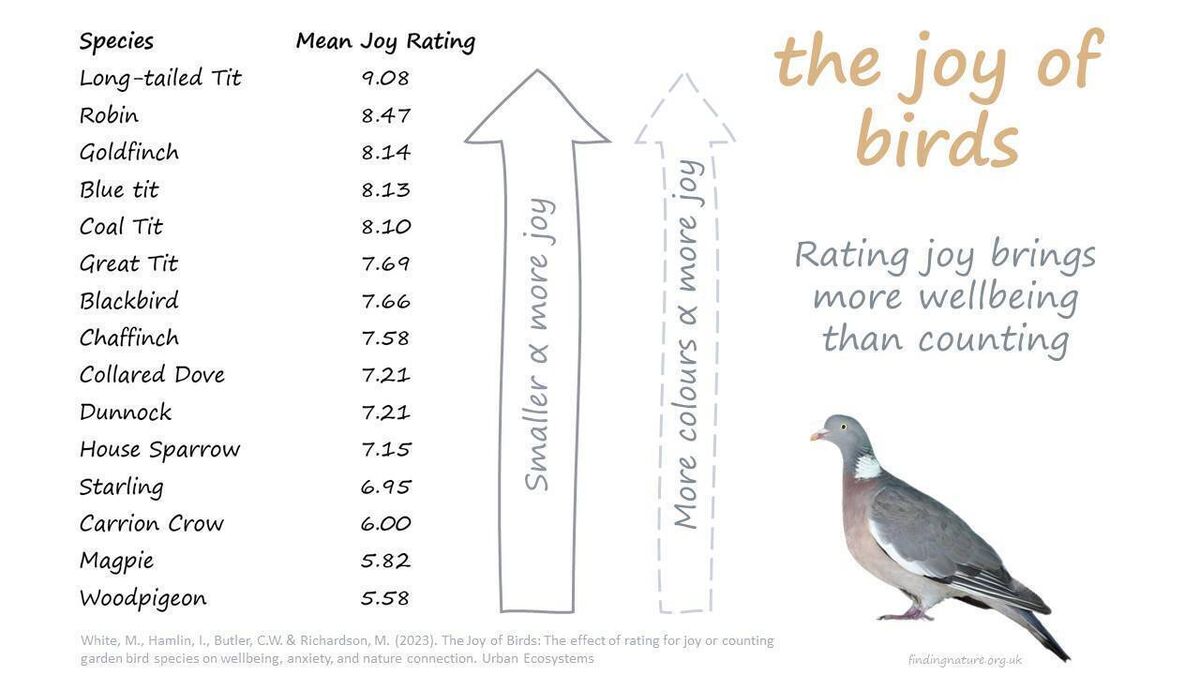 The Joy of Birds: The benefits of counting or rating birds for joy — link to study below