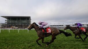 <p>NECK AND NECK: Bryony Frost riding Il Ridoto (left) being chased up the hill by Gavin Sheehan on Fugitif (purple) in the Virgin Bet December Gold Cup Handicap Chase at Cheltenham last weekend. Pic: Alan Crowhurst, Getty</p>