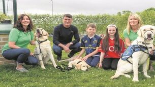 Roy Keane drops in on guide dog fundraisers