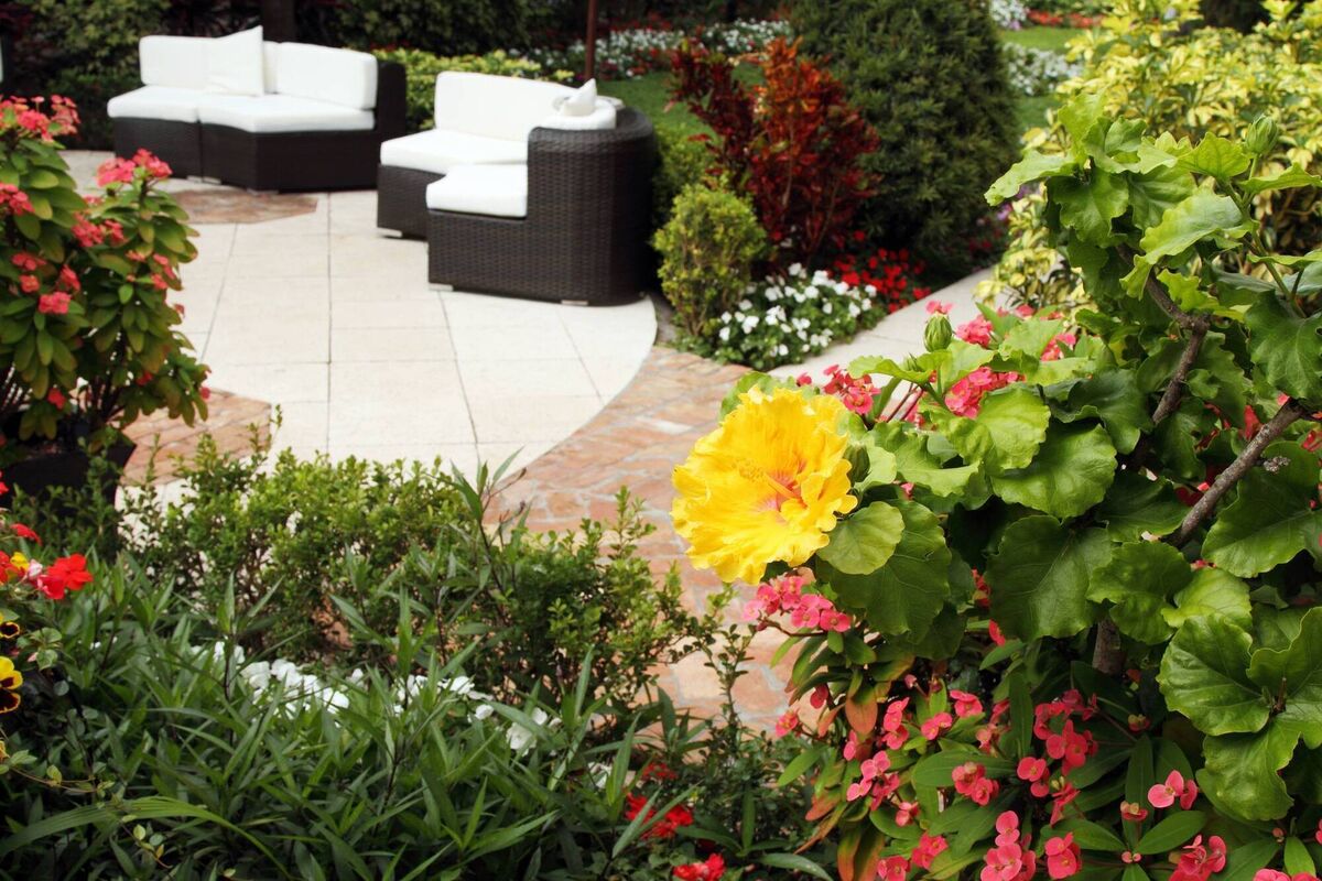 Are you looking to create a serene retreat for relaxation in your outdoor space? 