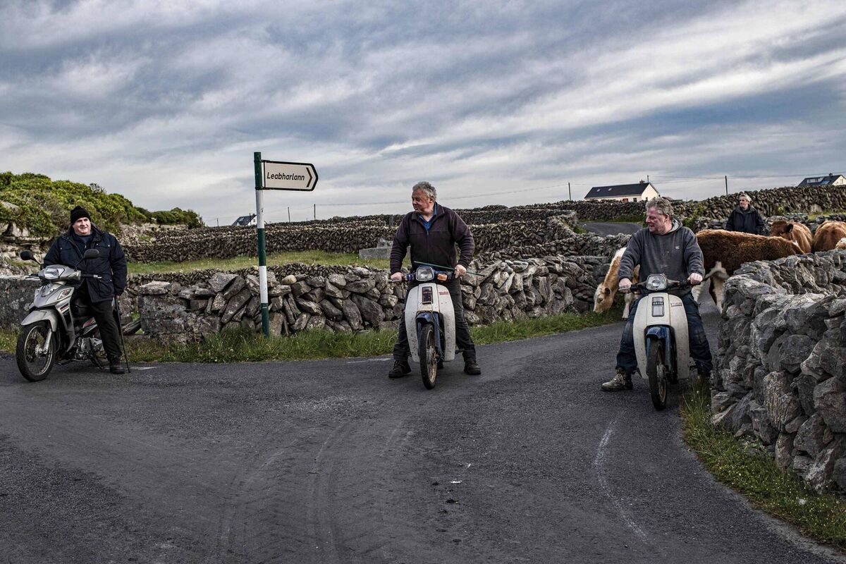  Gathering the cattle on Inis Meáin in 2023. Picture: Chris Rodmell