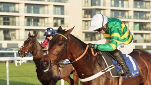 <p>BACK FOR MORE: Champ may be able to roll back the years in the Long Walk Hurdle at Ascot on Saturday. 	Picture: Healy Racing</p>