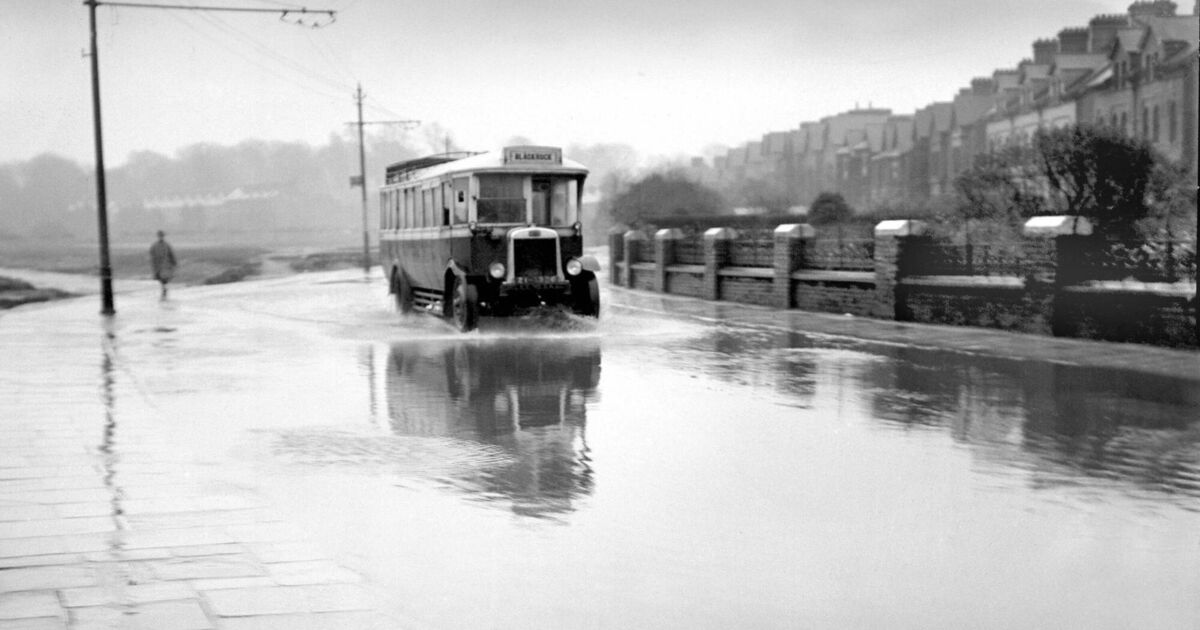 When the 'Cork Examiner' engaged in a spot of muckraking, so to speak