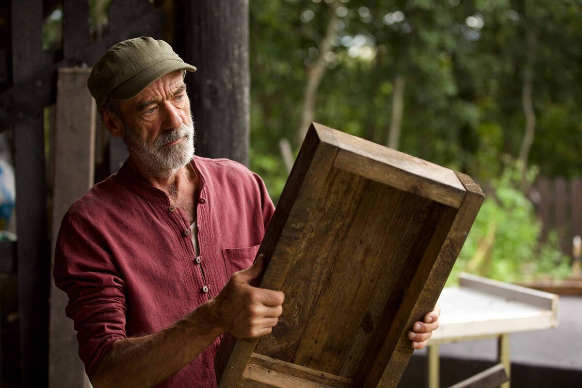 The remarkable Paddy Ó Fiannachta, whose dedication to preserving the Native Irish Black bee population has become the focus of his life; Saturday, 9.20pm; TG4.