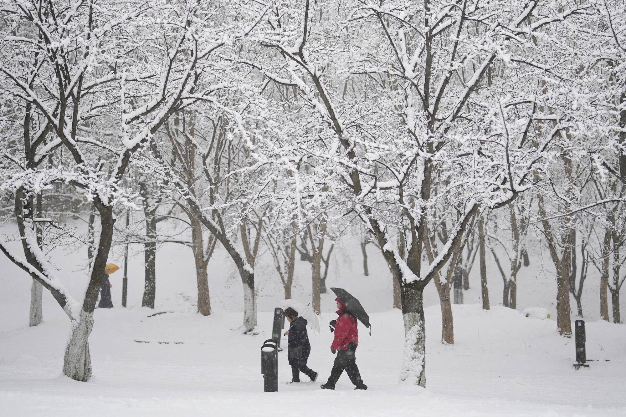 South Korean capital records heaviest one-day snowfall in December for 40 years