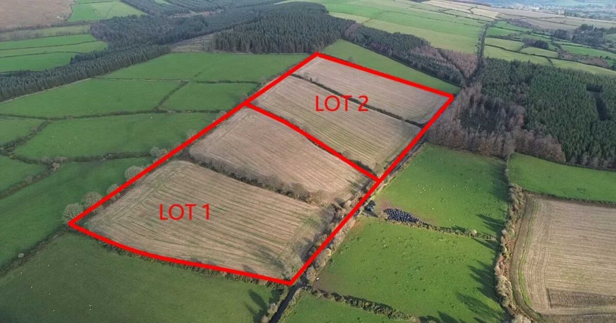 33acre Wicklow farm sells at preChristmas auction