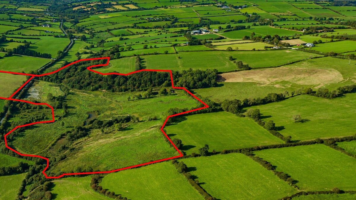 Tempting 38-acre north Cork farm at €6,000 an acre - Vimarsana News
