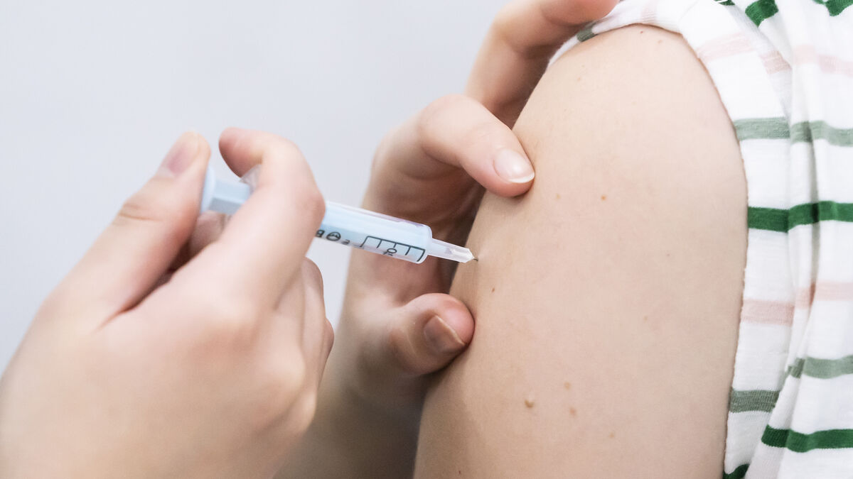 Ireland had no 'excess' deaths during pandemic, new research finds - Vimarsana News