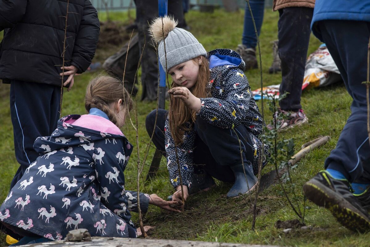 Students of Scoil Realt na Mara Ballycotton, Co Cork pictured planting trees as part of 800 native trees being planted by Cork Schools Picture: Clare Keogh