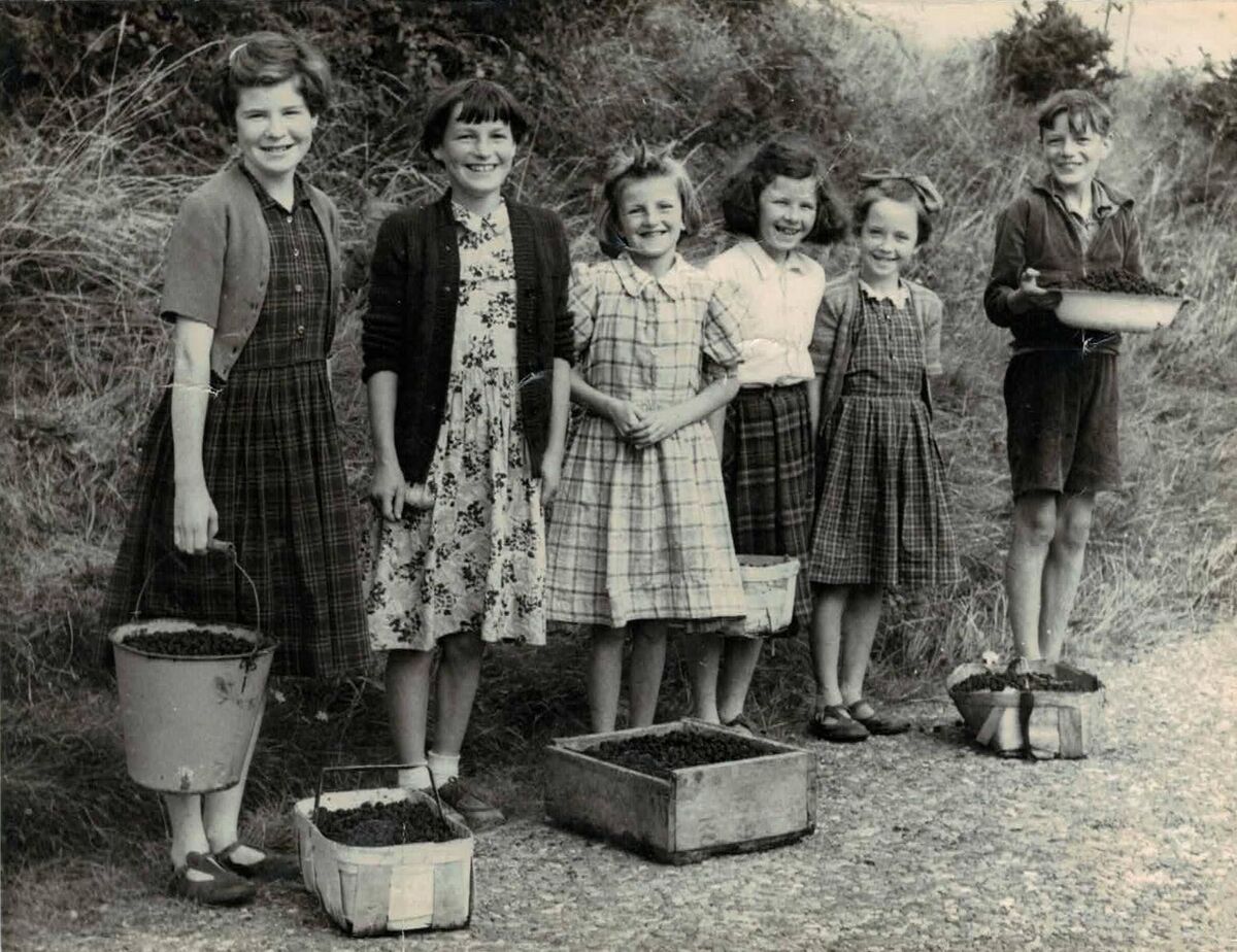 Lisgoold children awaiting the blackberry collector in 1950s. Lisgoold children awaiting the blackberry collector in 1950s.
