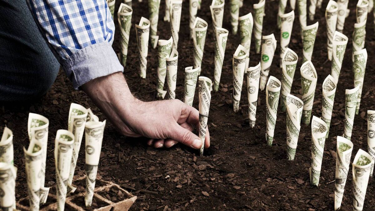 Denis Lehane: How to become the richest man in the world - Vimarsana News