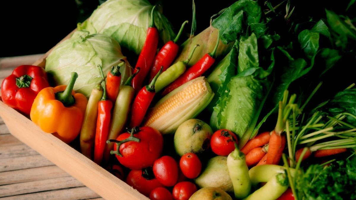 The farm shop didn't pay me - Vimarsana News