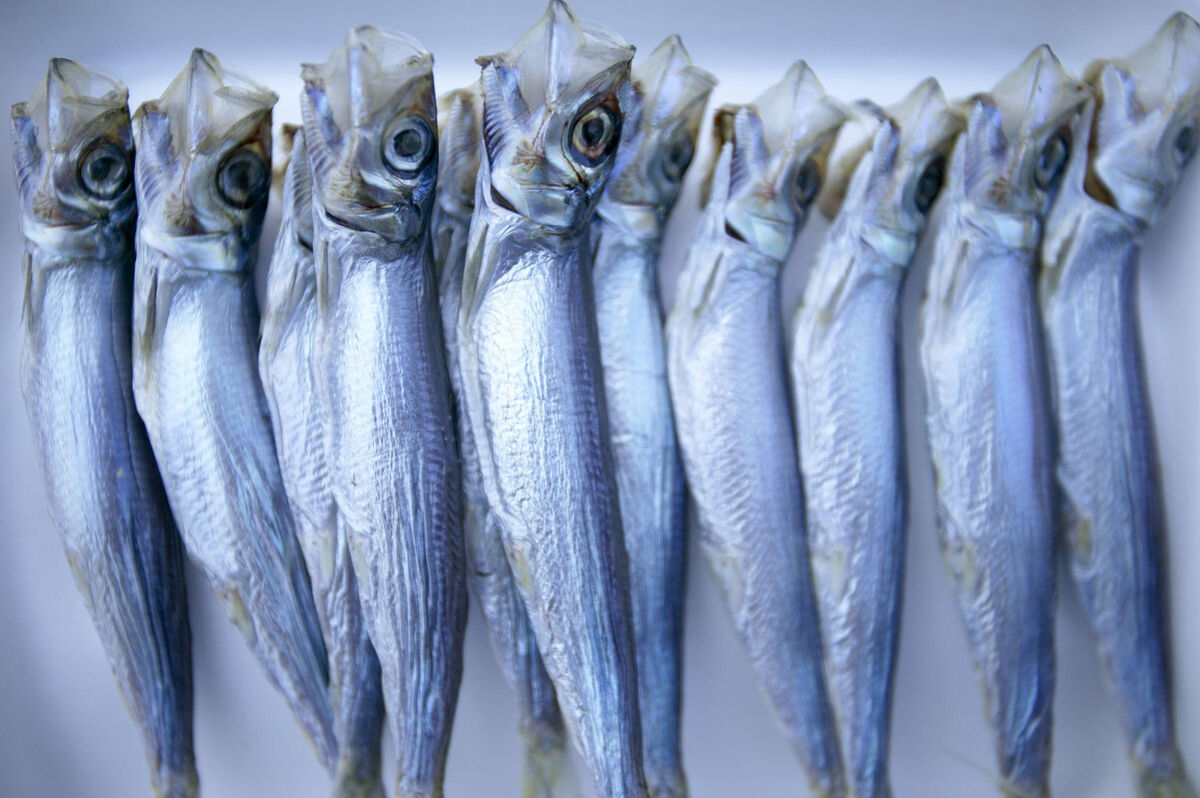 Vitamin D is naturally available in only a few foods eaten in Ireland. These include oily fish (salmon, mackerel, trout), but even if recommended levels of oily fish are taken once a week this will not provide enough vitamin D